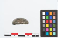 Foto von Bronzeriemenbesatzknopf (NHMW-PRAE-026367a)